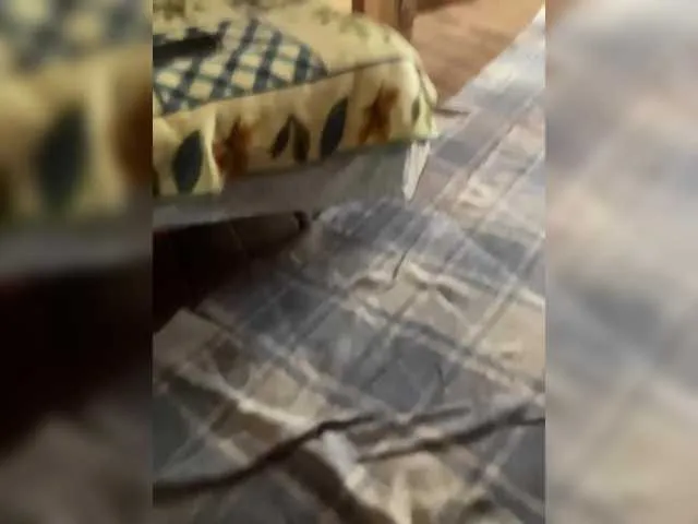 Anita-vega – webcam model profile photo Image 4