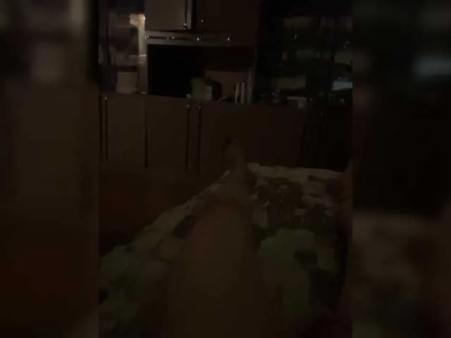 Anita-vega – webcam model profile photo Image 8