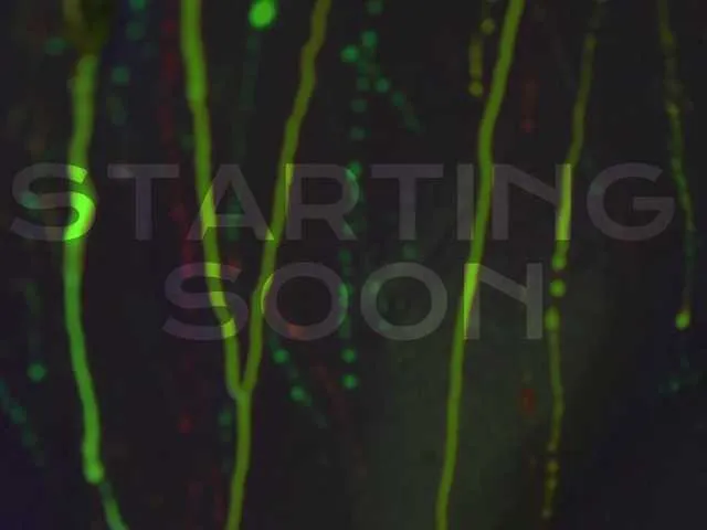 kendalljay_ – webcam model profile photo Image 5