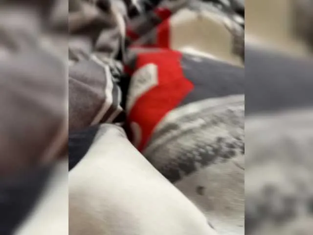 Anita-vega – webcam model profile photo Image 6