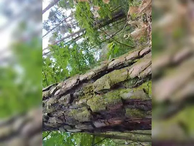 umi_umi_7 – webcam model profile photo Image 7