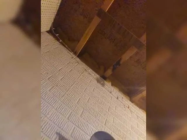 Honeycouple – webcam model profile photo Image 11