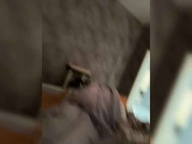 alana15 – webcam model profile photo Image 3