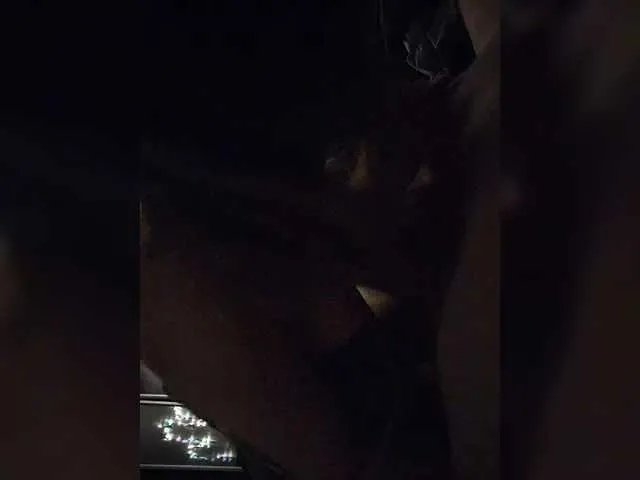 DoriDeluxe66 – webcam model profile photo Image 2