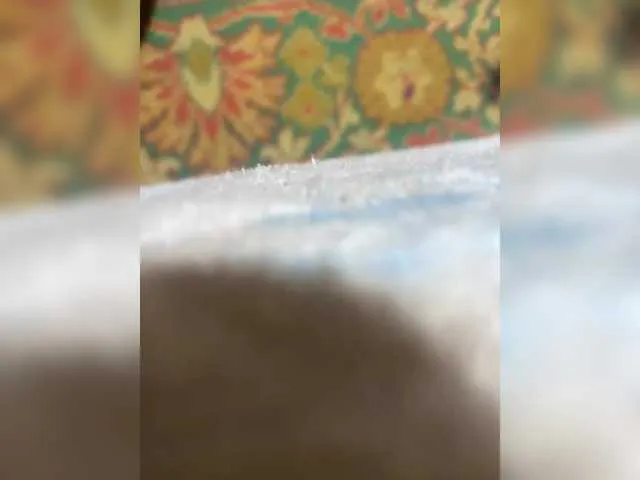 VadikSveta1's Thumb Image