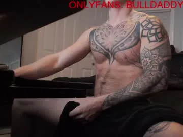 9inchbulll – webcam model profile photo