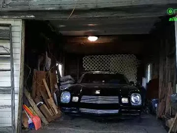 EvieEvans – webcam model profile photo Image 18