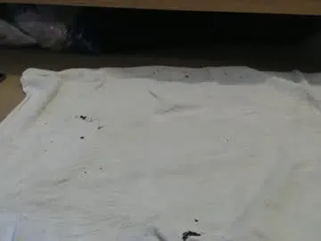 Anita-vega – webcam model profile photo Image 13