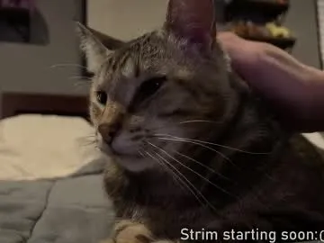 faplex – webcam model profile photo Image 11