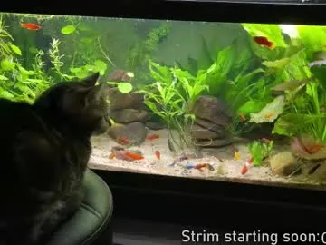 faplex – webcam model profile photo Image 14