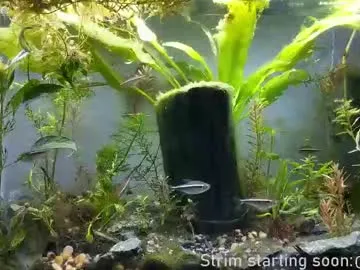 faplex – webcam model profile photo Image 17