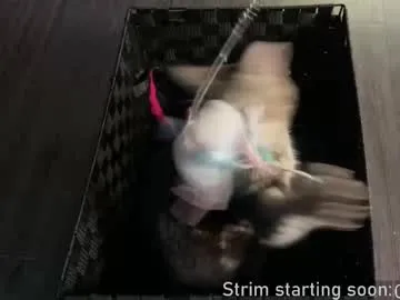 faplex – webcam model profile photo Image 3