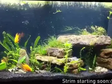 faplex – webcam model profile photo Image 5