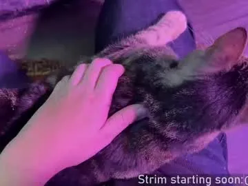 faplex – webcam model profile photo Image 9