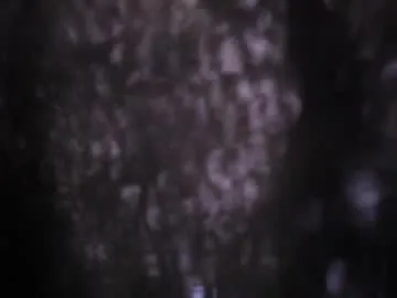 cielo_bm Image 9