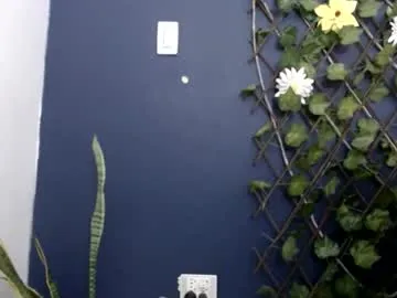 YoungSquad – webcam model profile photo Image 19