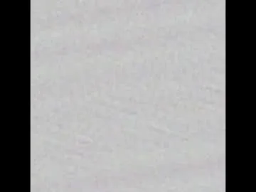 chanalephaz – webcam model profile photo Image 18