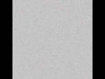 Prueberry – webcam model profile photo Image 7