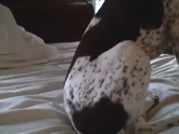 jim311 – webcam model profile photo