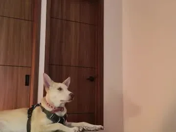 Taanni – webcam model profile photo Image 14