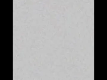 _reverse_gang_ – webcam model profile photo Image 9