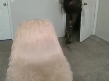 goth_minerva – webcam model profile photo Image 17