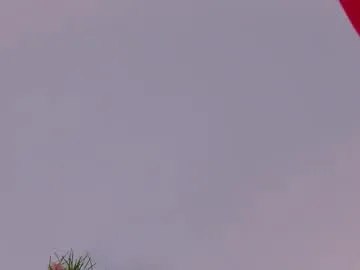 alana15 – webcam model profile photo Image 7