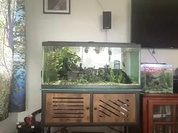 xooxie – webcam model profile photo