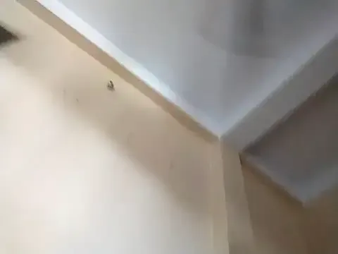 -Molly- – webcam model profile photo Image 2