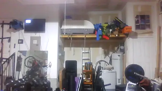 primarch777 – webcam model profile photo Image 15