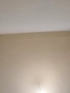 Prueberry – webcam model profile photo Image 16