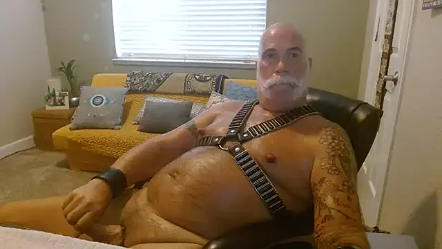 amberpaws – webcam model profile photo Image 6