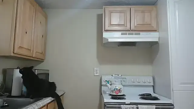 riccirizzo – webcam model profile photo Image 3