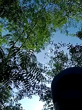 bambi_lu – webcam model profile photo Image 6