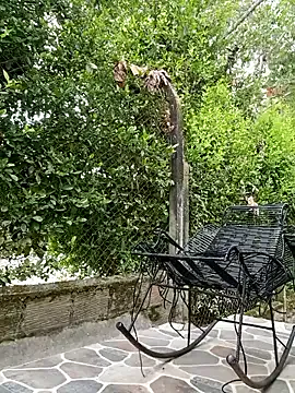 -Miray- – webcam model profile photo Image 3