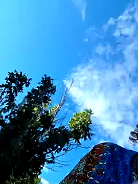 xunybany – webcam model profile photo Image 17