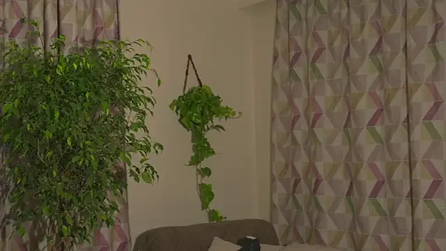 poppy_sweets – webcam model profile photo Image 10